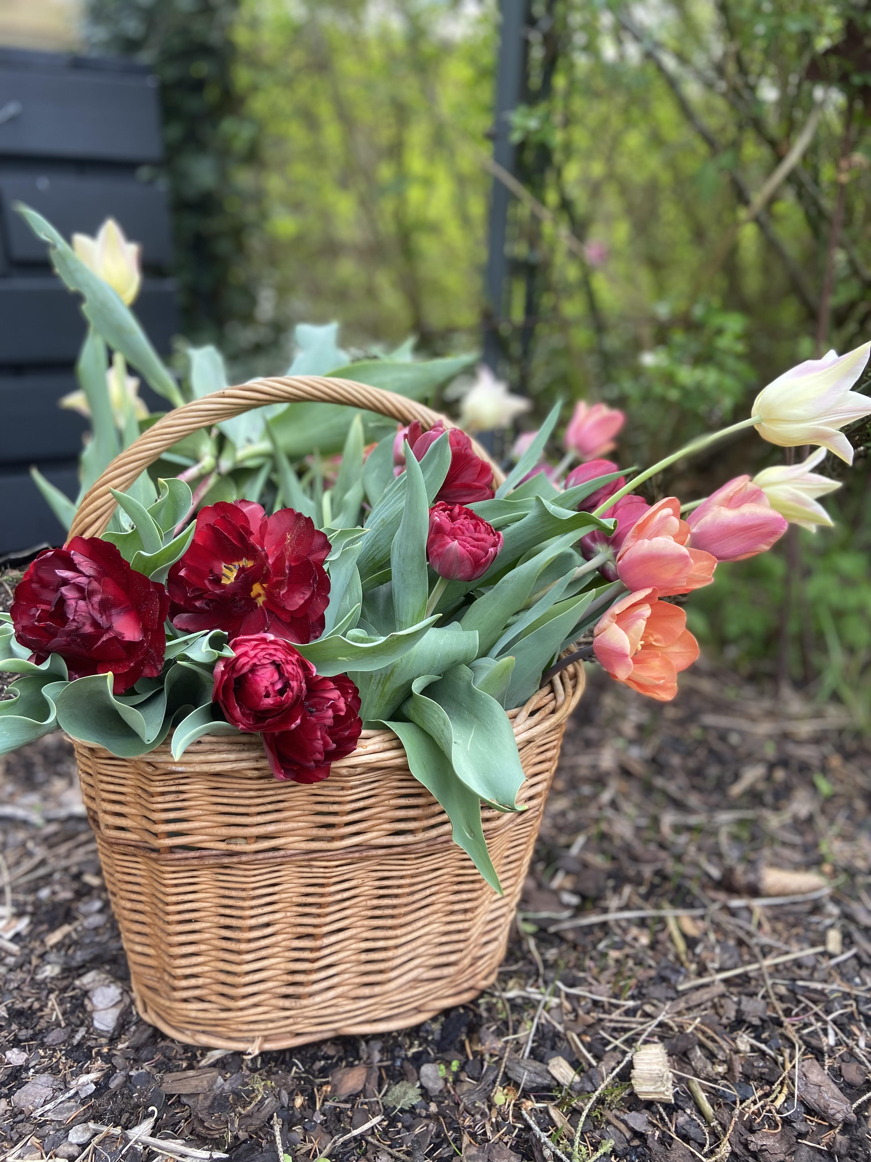 Blomsterarrangemang